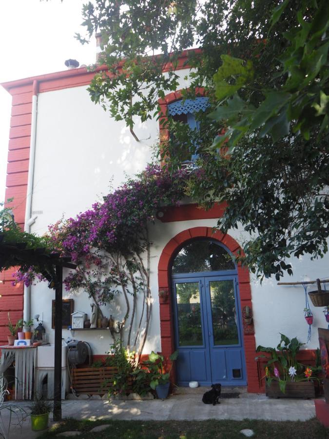 La Gare De Millas Chambres D'Hotes 외부 사진